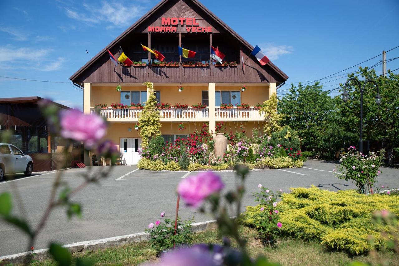 Motel Moara Veche Săcălăşeni エクステリア 写真