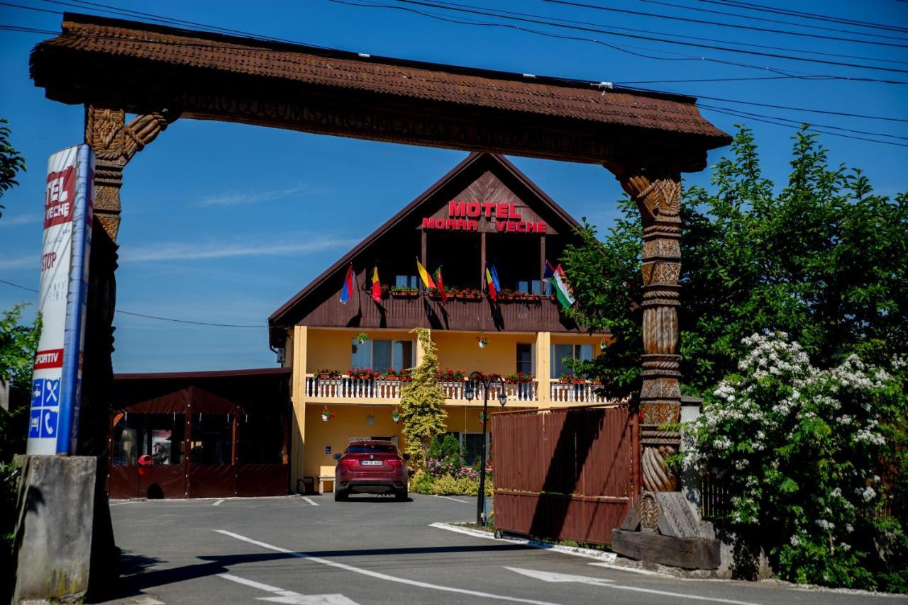 Motel Moara Veche Săcălăşeni エクステリア 写真