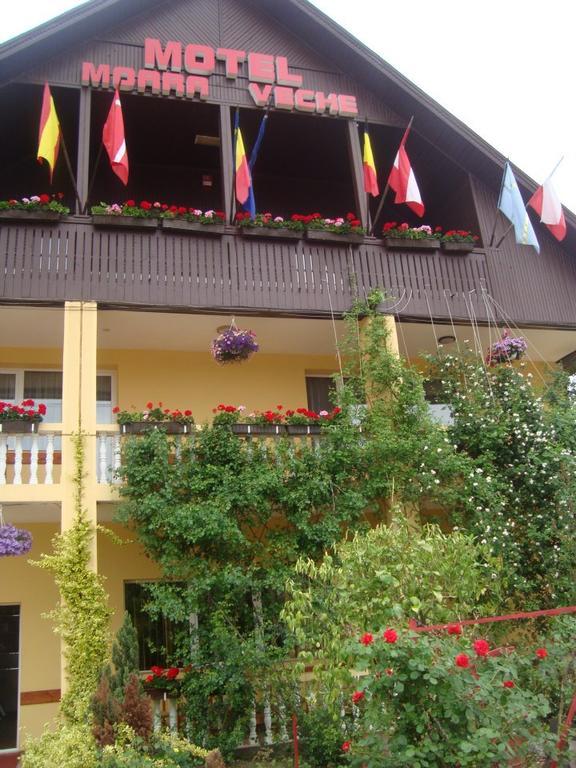 Motel Moara Veche Săcălăşeni エクステリア 写真